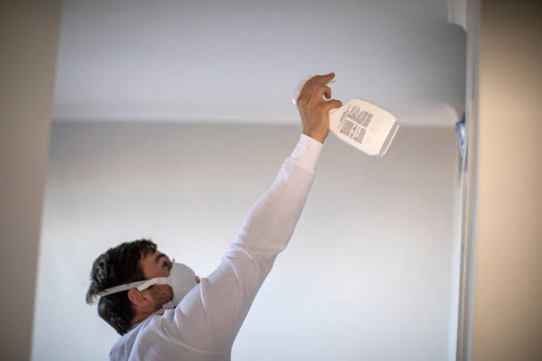Home Mold Removal in Mount Airy, NC