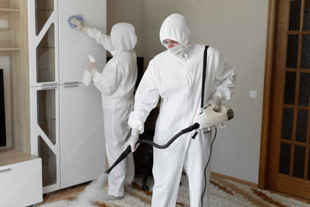 Best Toxic Mold Removal  in Mount Airy, NC