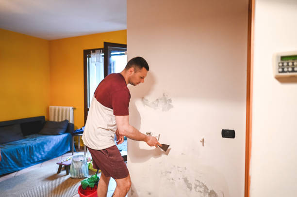Best Mold Testing  in Mount Airy, NC