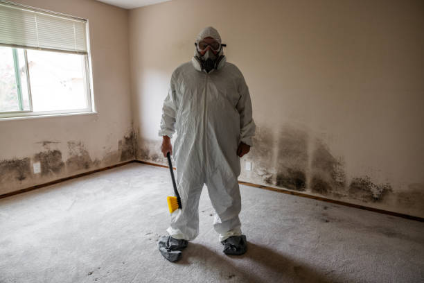 Best Mold Removal Near Me  in Mount Airy, NC